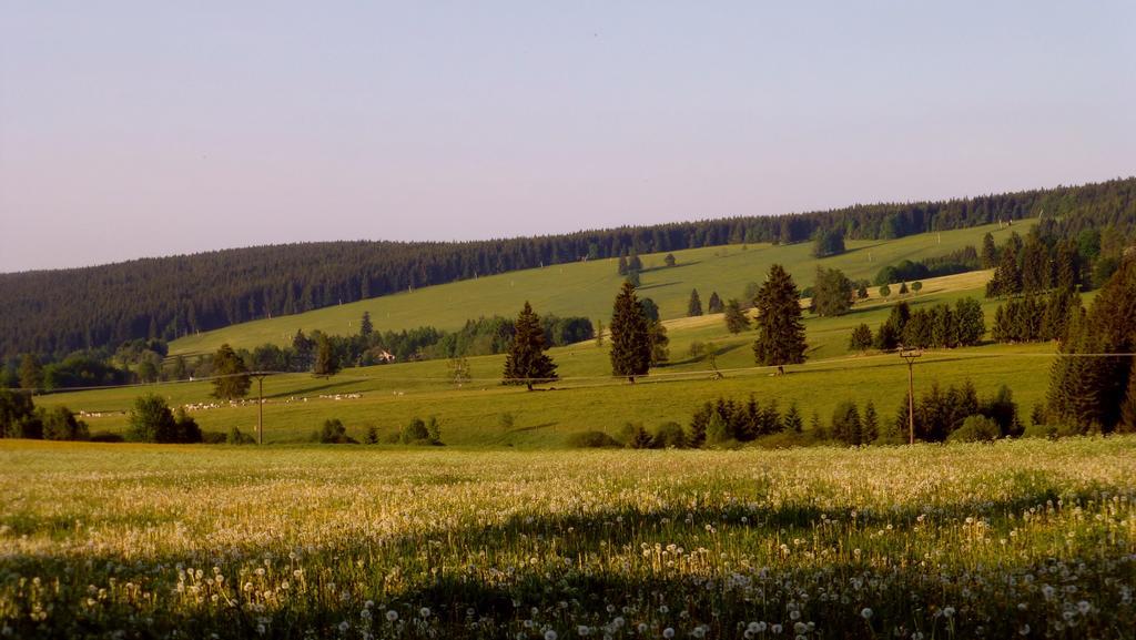Appartamento U Votápků Nove Hute Esterno foto